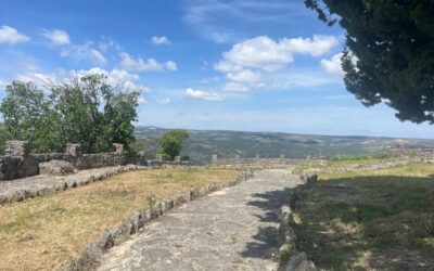 Fermoselle acogerá las I Jornadas Internacionales sobre Paisajes Históricos del Viñedo los días 26, 27 y 28 de junio