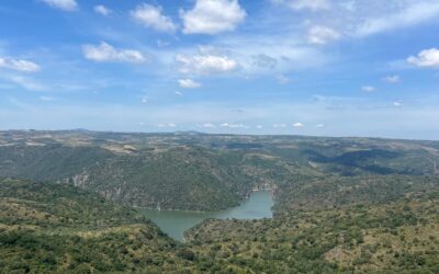 El vino tomará el Castillo de Doña Urraca de Fermoselle el próximo sábado 28 de junio