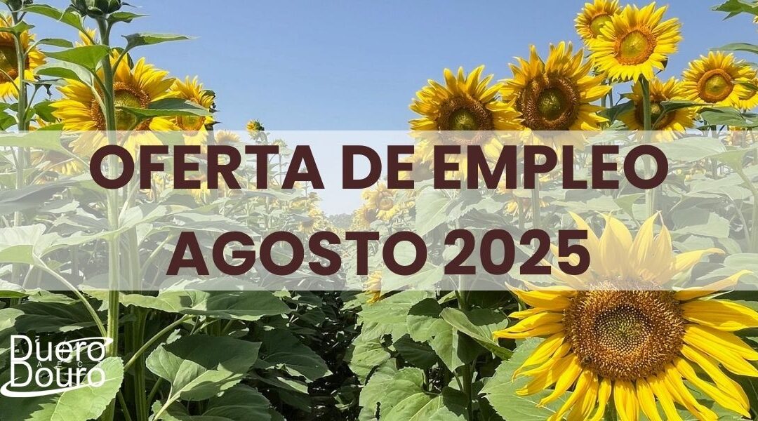 ¡Oferta de empleo agosto 2025! Buscamos distintos perfiles para incorporar a nuestro equipo de trabajo