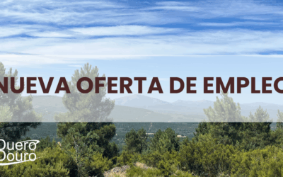 ¡Buscamos administrativos y personas expertas en desarrollo territorial!